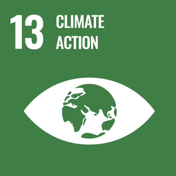 13. Climate action