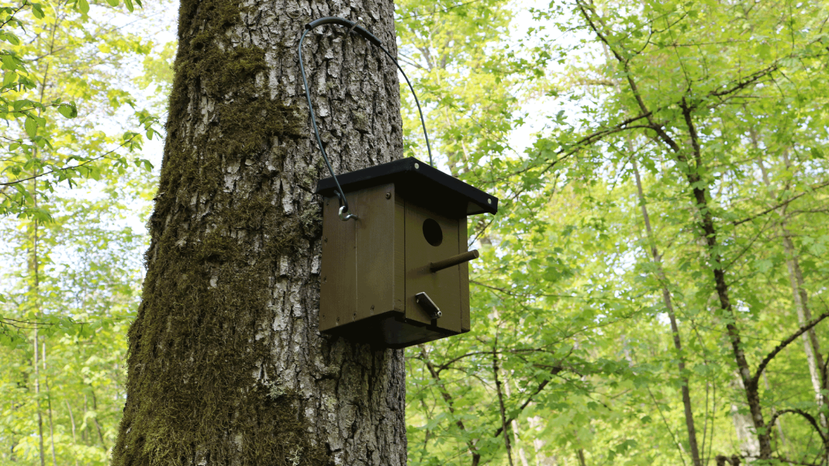 Vögelhäuser Würth Industrie Service