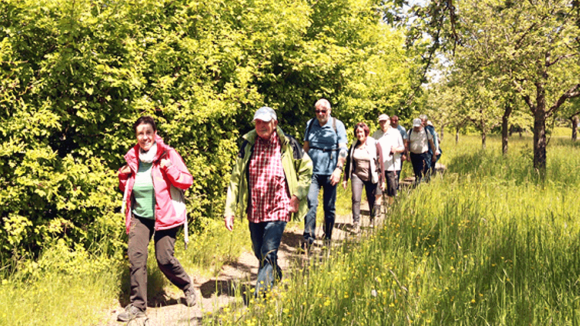Wandertag zum Industriepark Würth der Würth Industrie Service